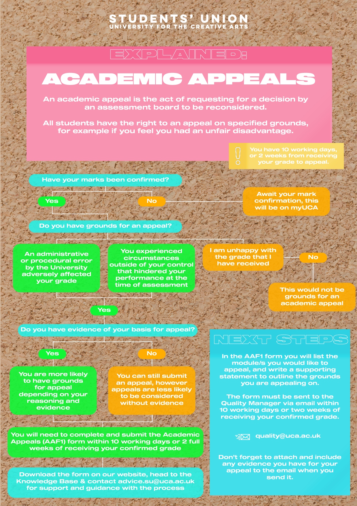 Academic Appeals Process Graphic