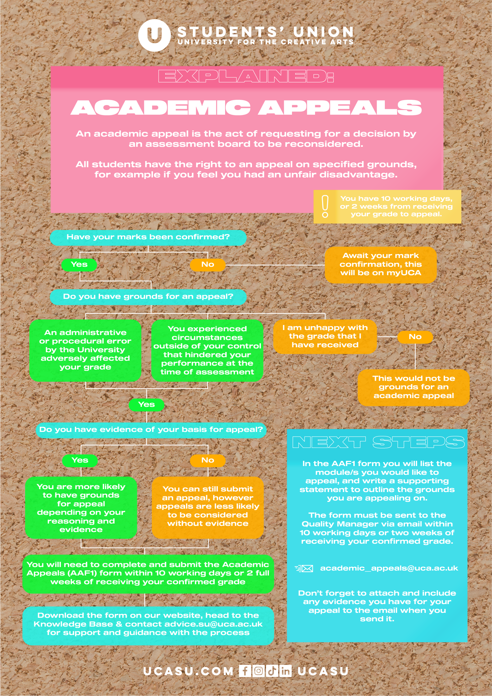Academic Appeals Process Graphic